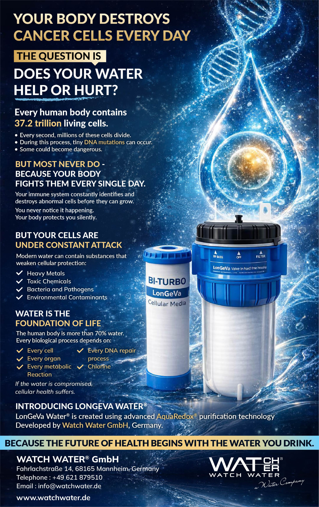 Cells, Water and Immune Protection