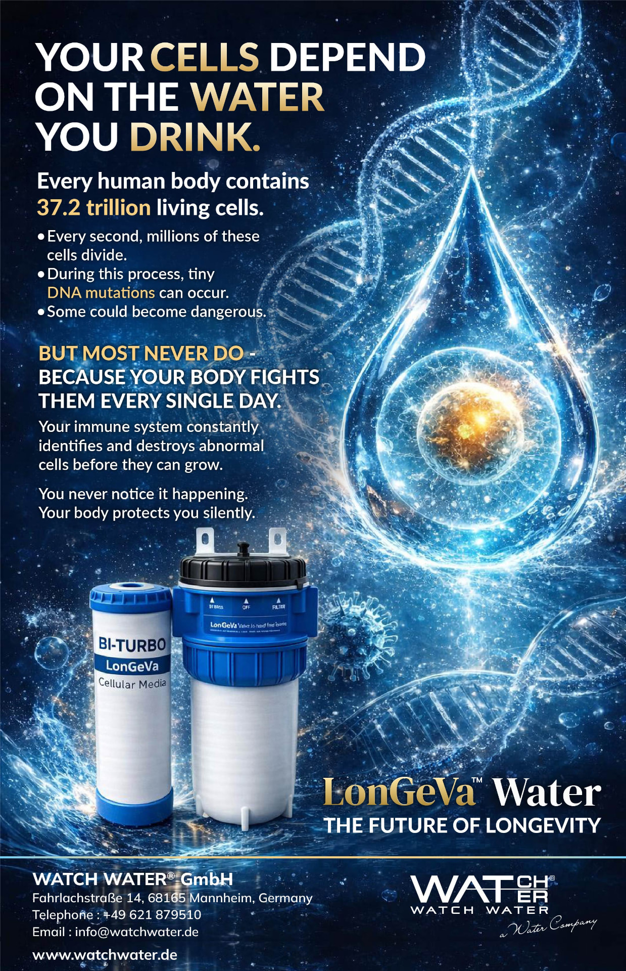 Cells and Water — Filter Edition