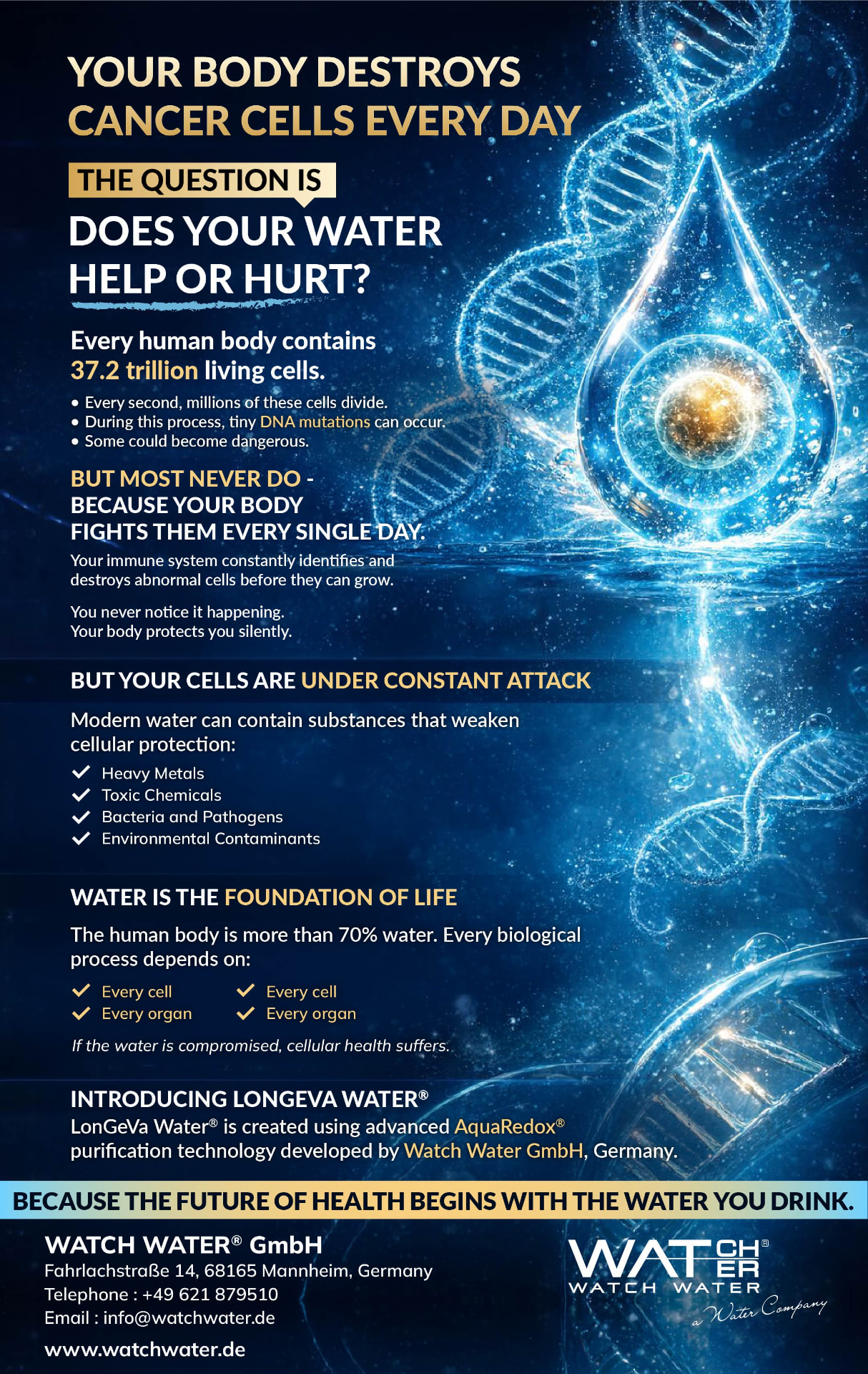 The Immune System and Everyday Water Quality