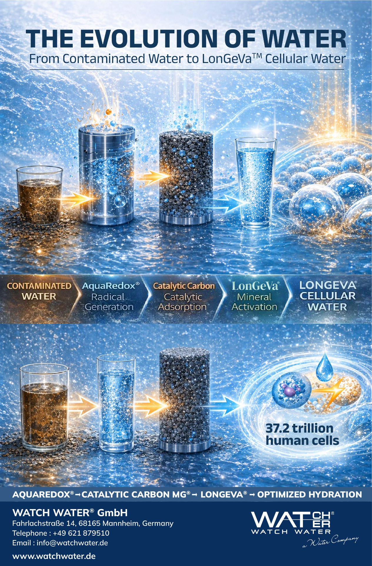 The Evolution of Water