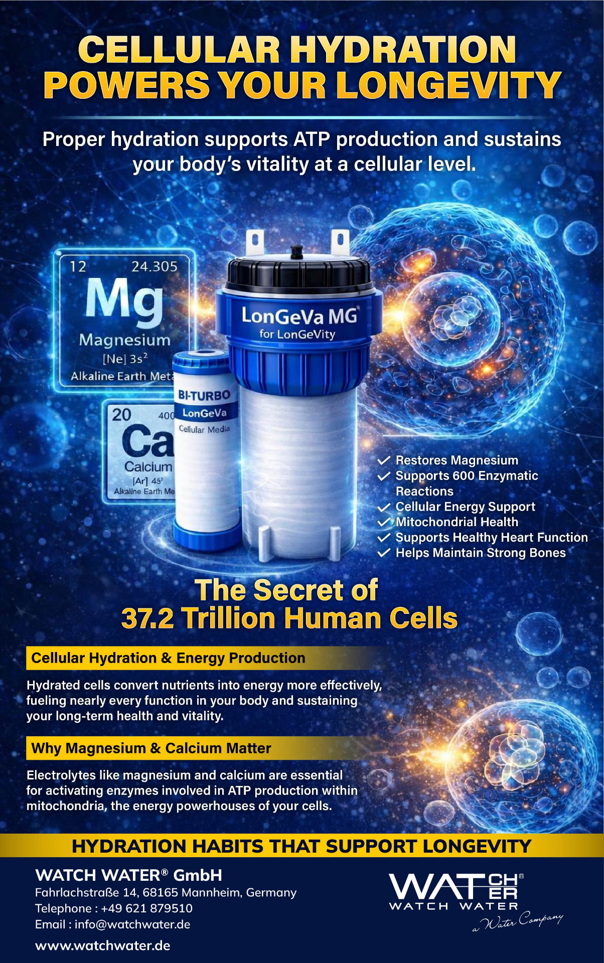 Cellular Hydration Powers Your Longevity