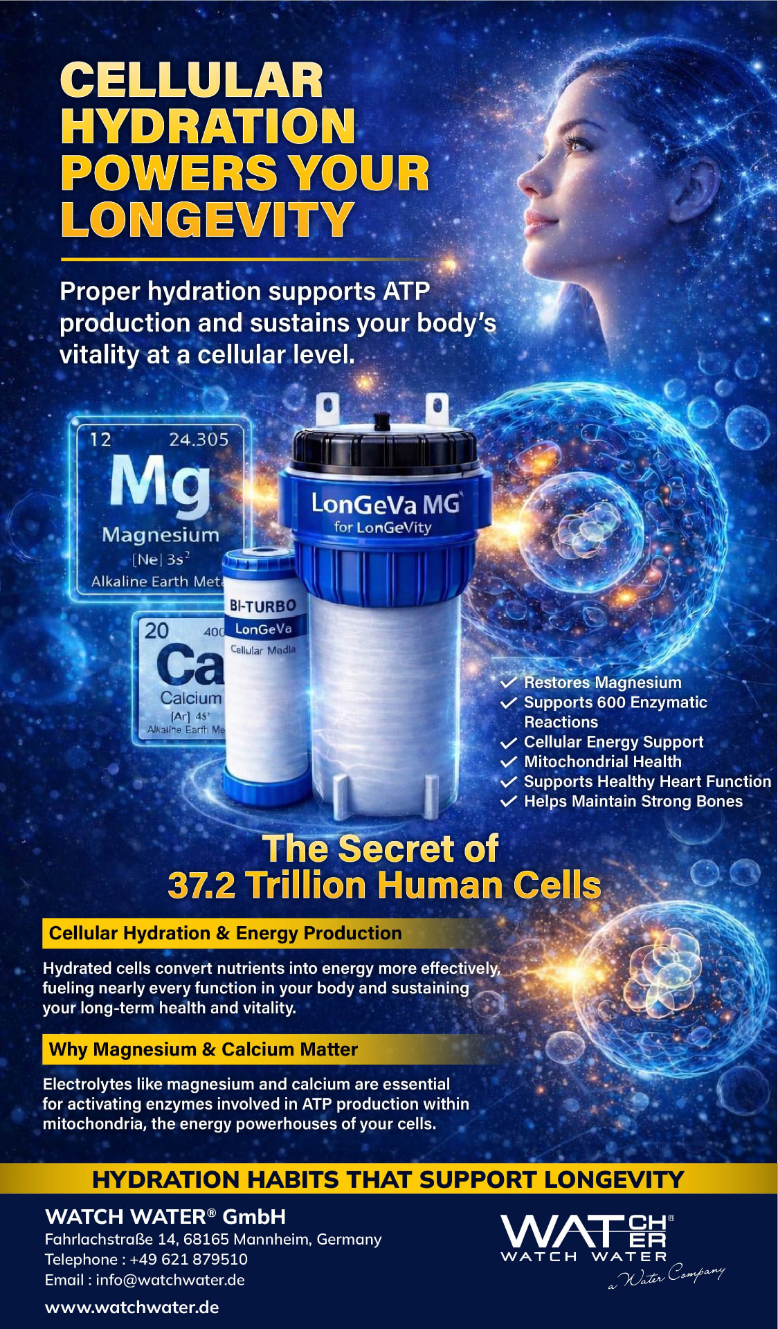 Cellular Hydration Powers Your Longevity — Portrait Edition