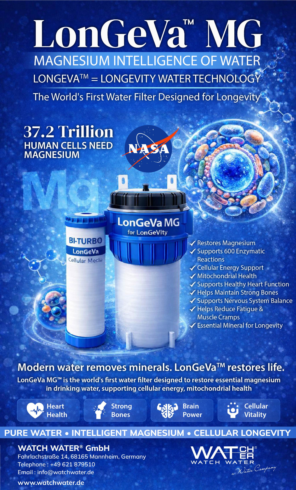 Magnesium Intelligence and 37.2 Trillion Cells